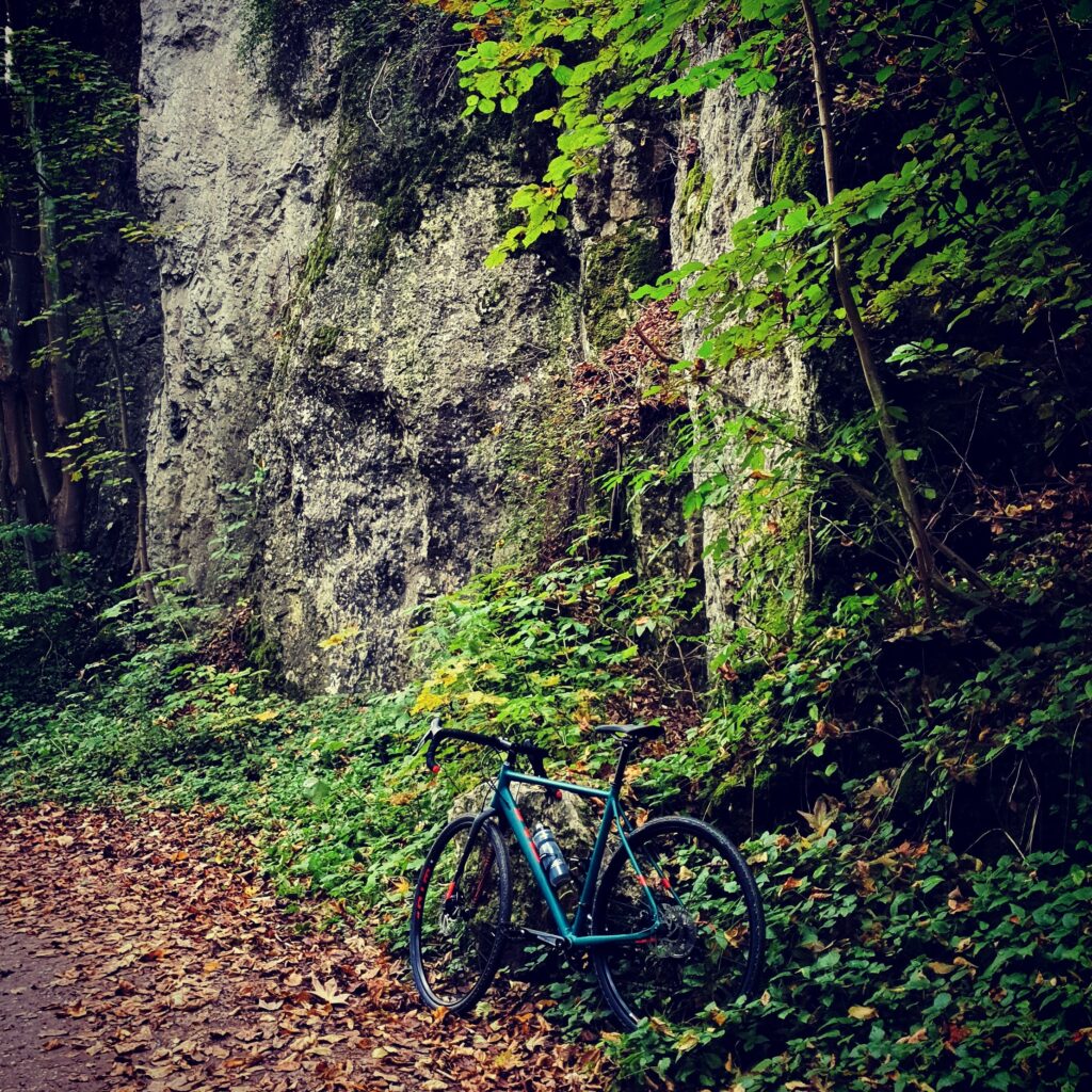 Zdjęcie z jednej z wycieczek rowerowych / Photo from one of the bike tours
